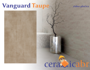 Vanguard Taupe ZP