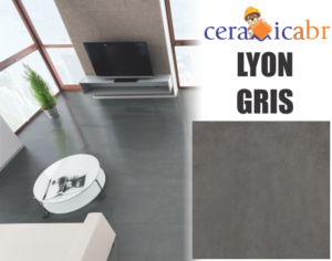 lyon-gris