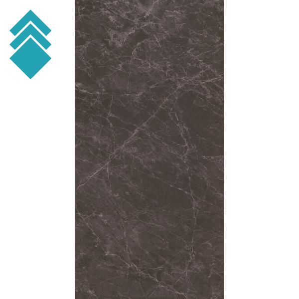 ZP Spider Black 30x60 NGL