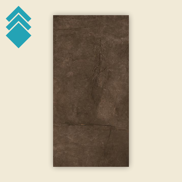 Montecoto Marron 60x120 GL 2
